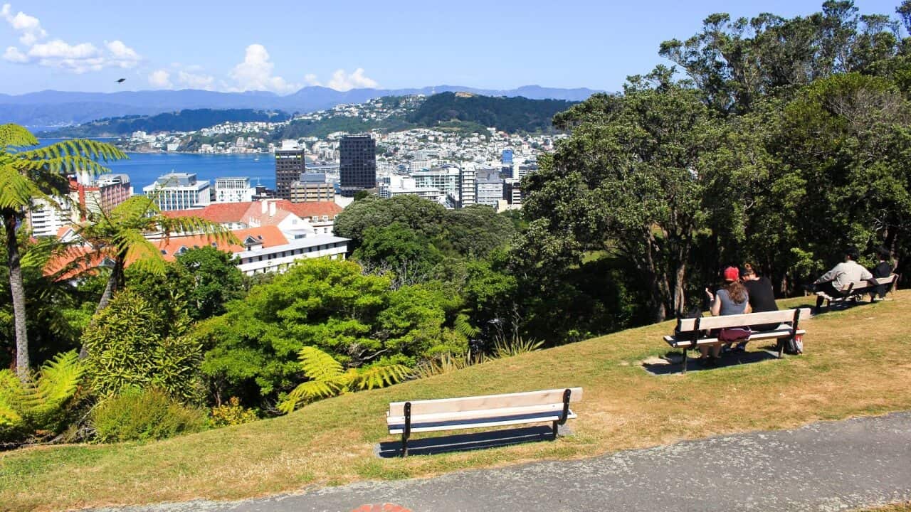 Wellington Skyline