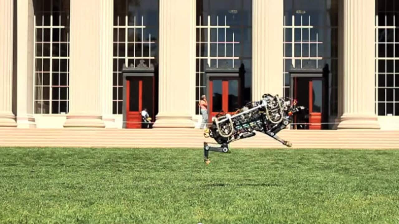 MIT robotic cheetah
