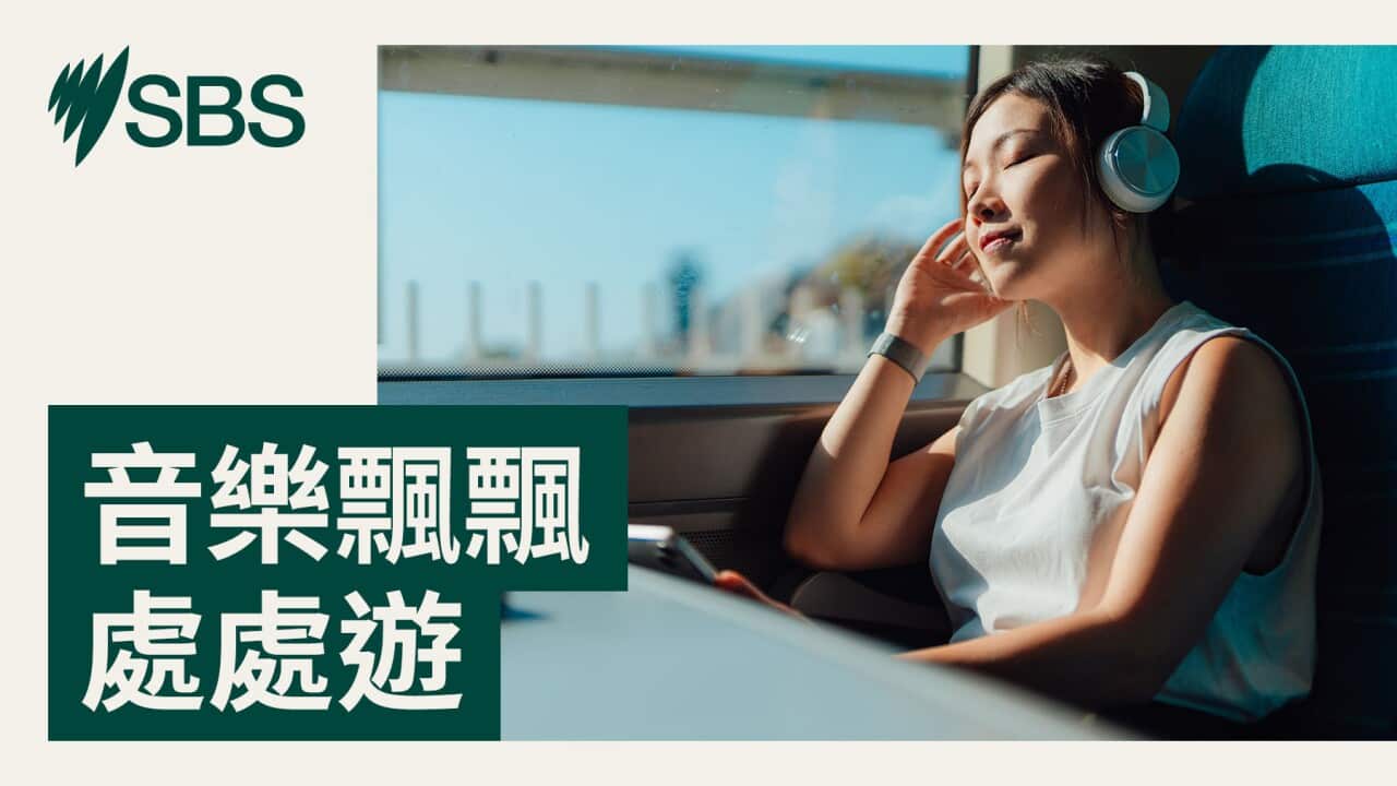 Image for read more article '音樂飄飄處處遊'