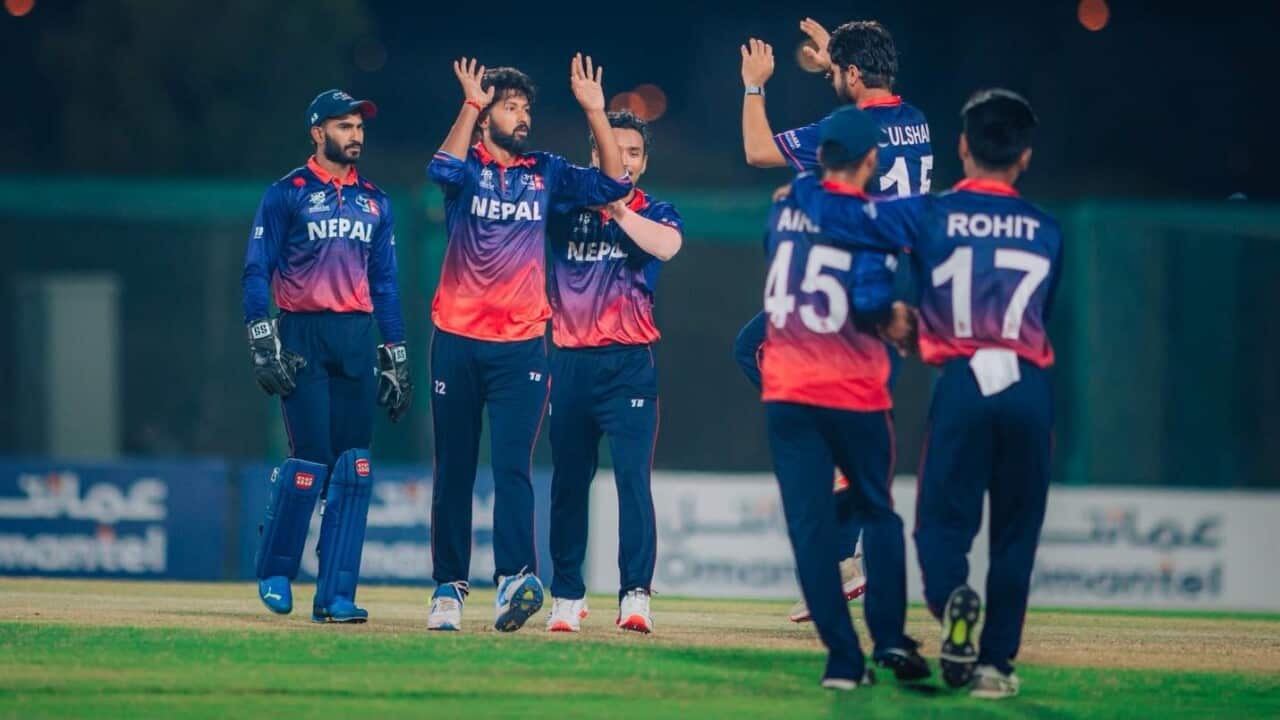 cricket 2 final final.jpg