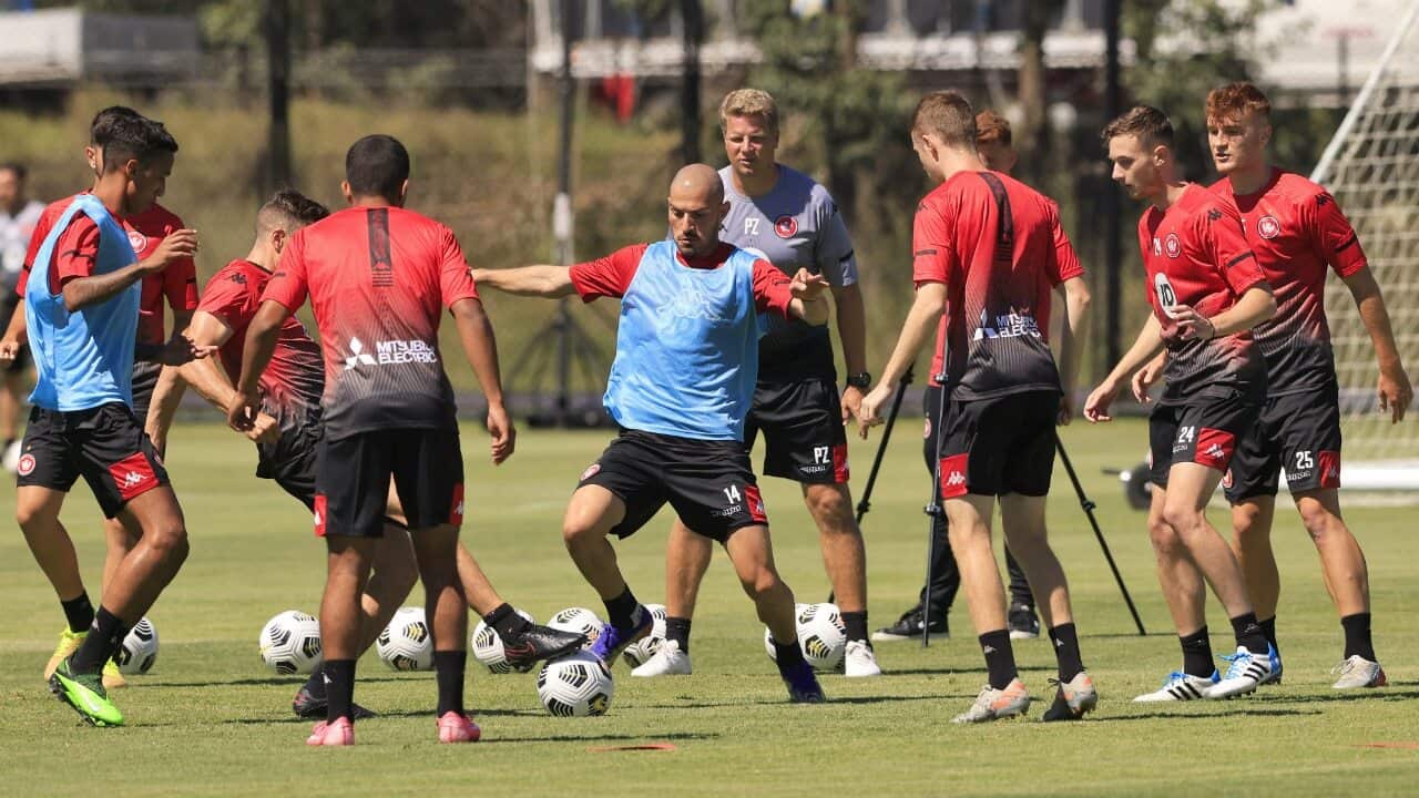 Western Sydney Wanderers