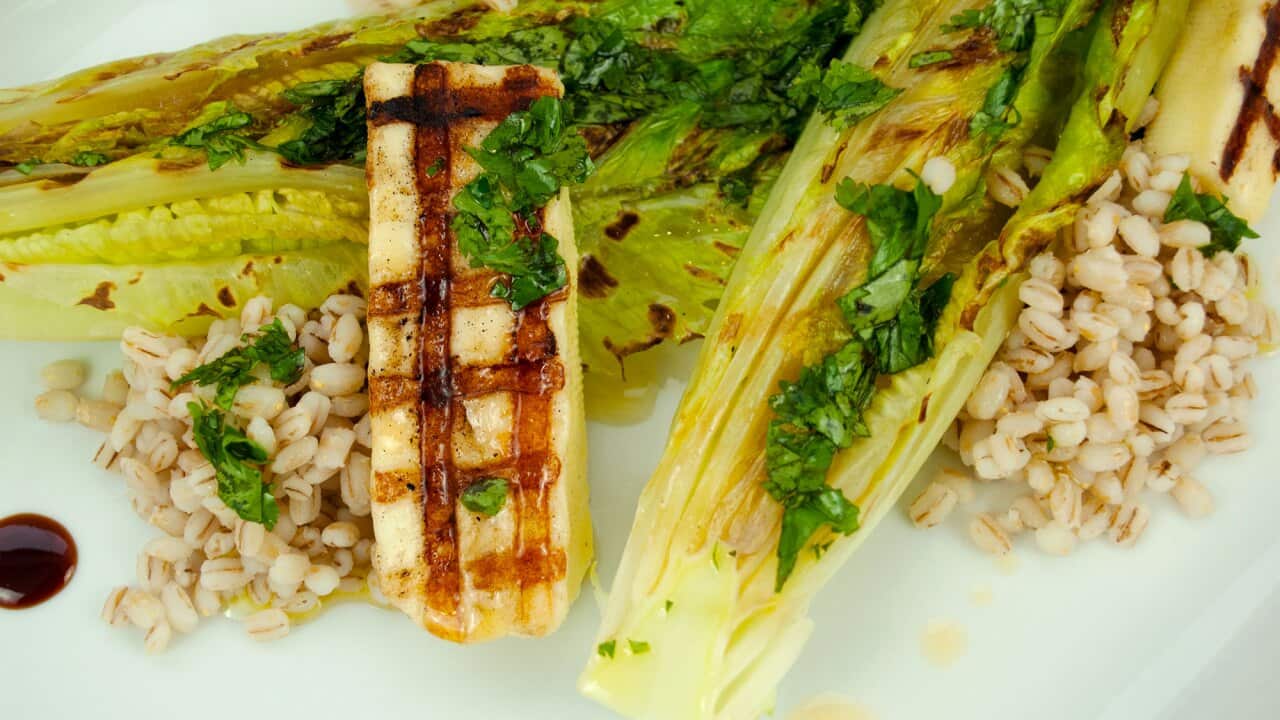 Grilled romaine with barley and haloumi