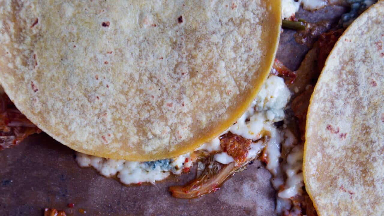 Kimchi quesadillas