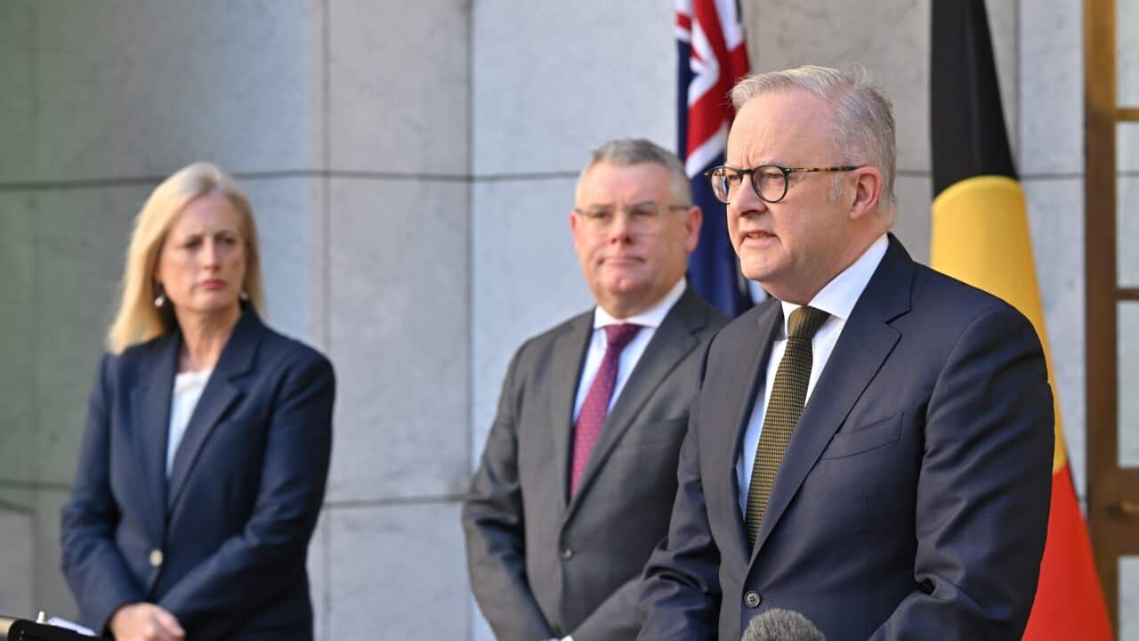 ANTHONY ALBANESE EVIRONMENT LAWS PRESSER