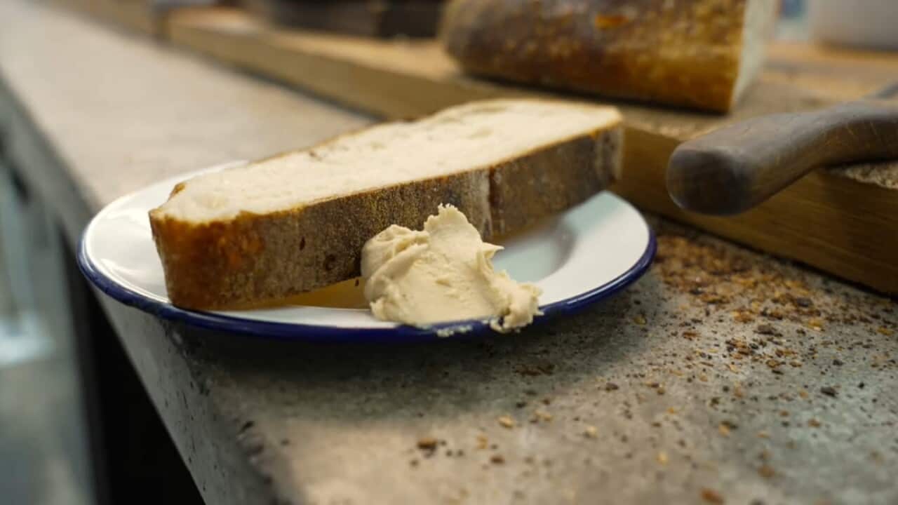 Vow's cultured Japanese quail butter is made from the cells of a quail. 