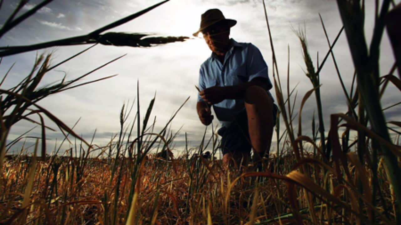 food_aust_farmer_3_L_100315_getty_1348859841