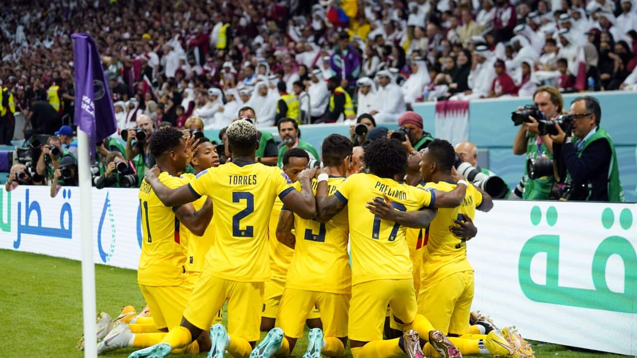 Soccer: FIFA World Cup Qatar 2022-Ecuador at Qatar