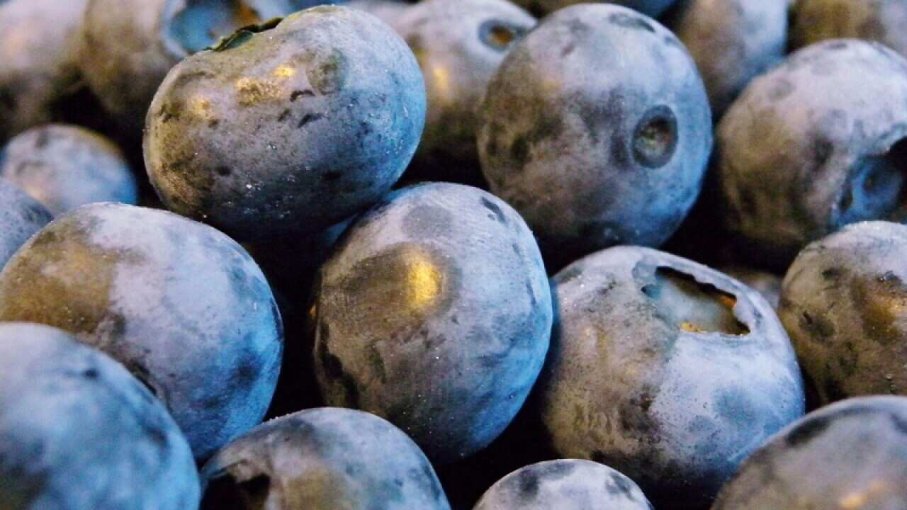 SA woman's hep A linked to frozen berries SBS News
