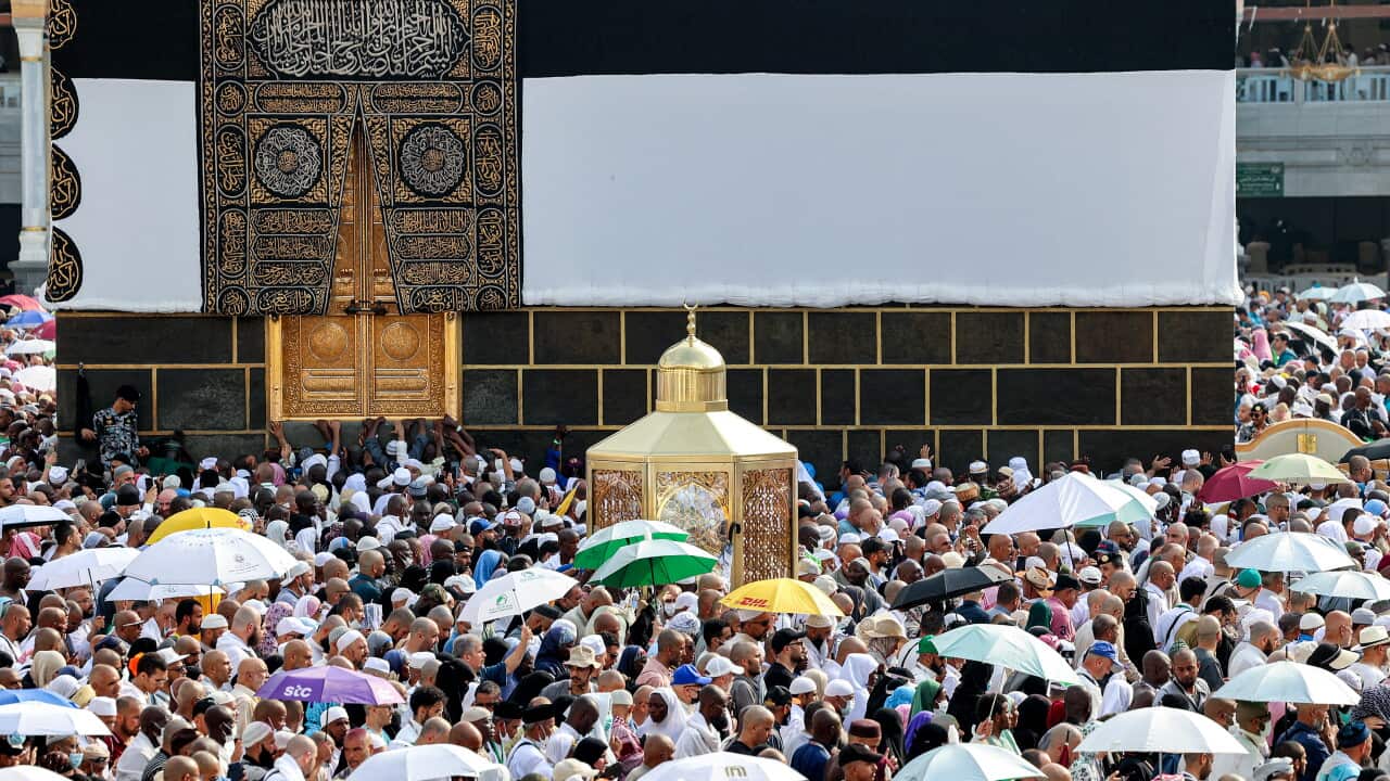 More than 550 people die during hajj pilgrimage amid soaring temperatures