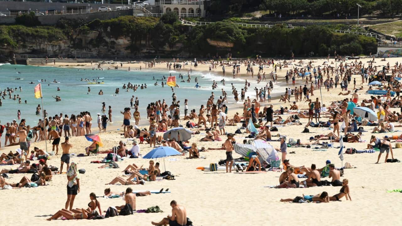 Beachgoers cool off in the water at Bondi Beach in Sydney