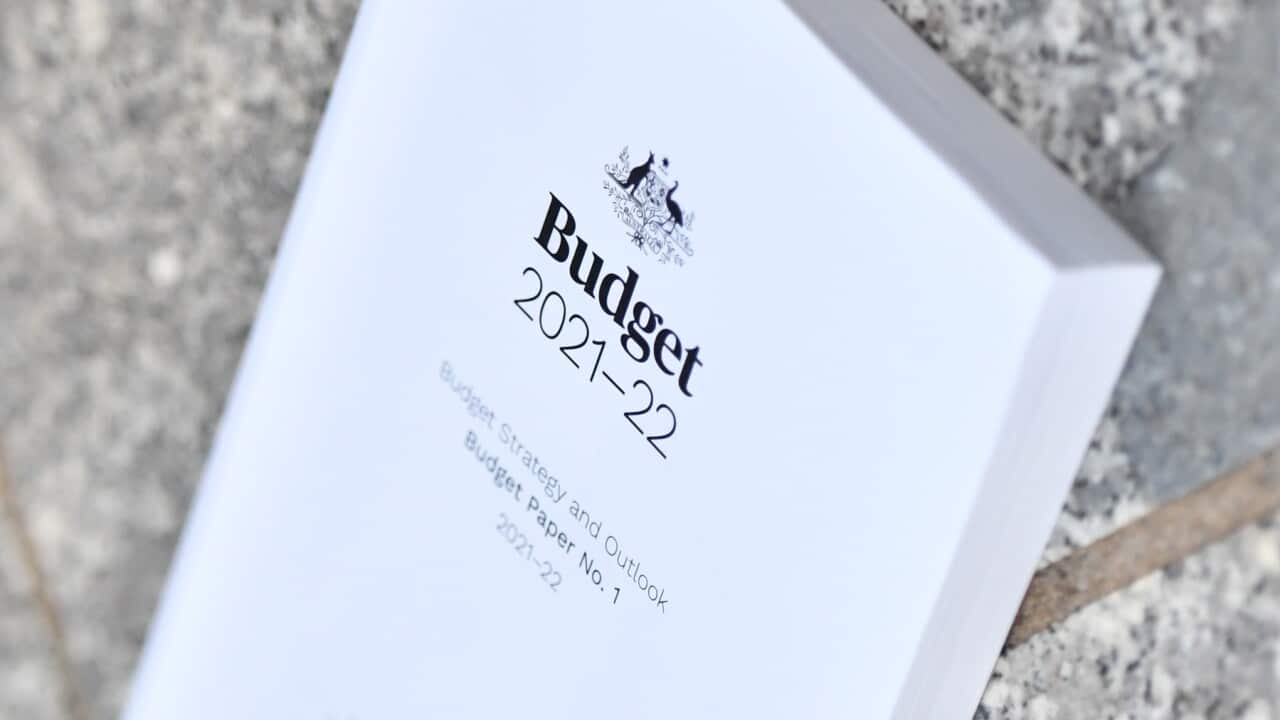 Federal Budget 2021-2022, Women issues, Domestic Violence, Migrante, gabriela