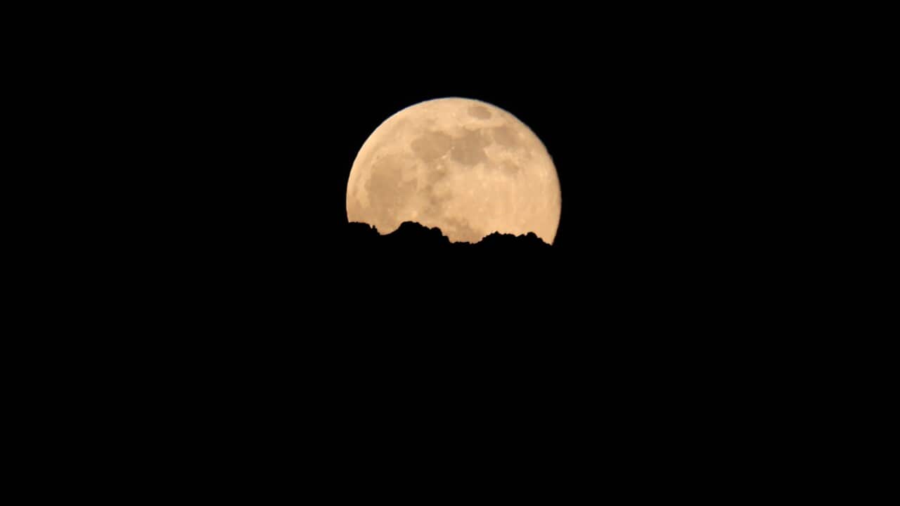 A large yellow moon in a black sky