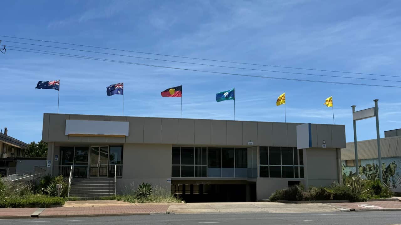 TTSHCD NU mới.jpg