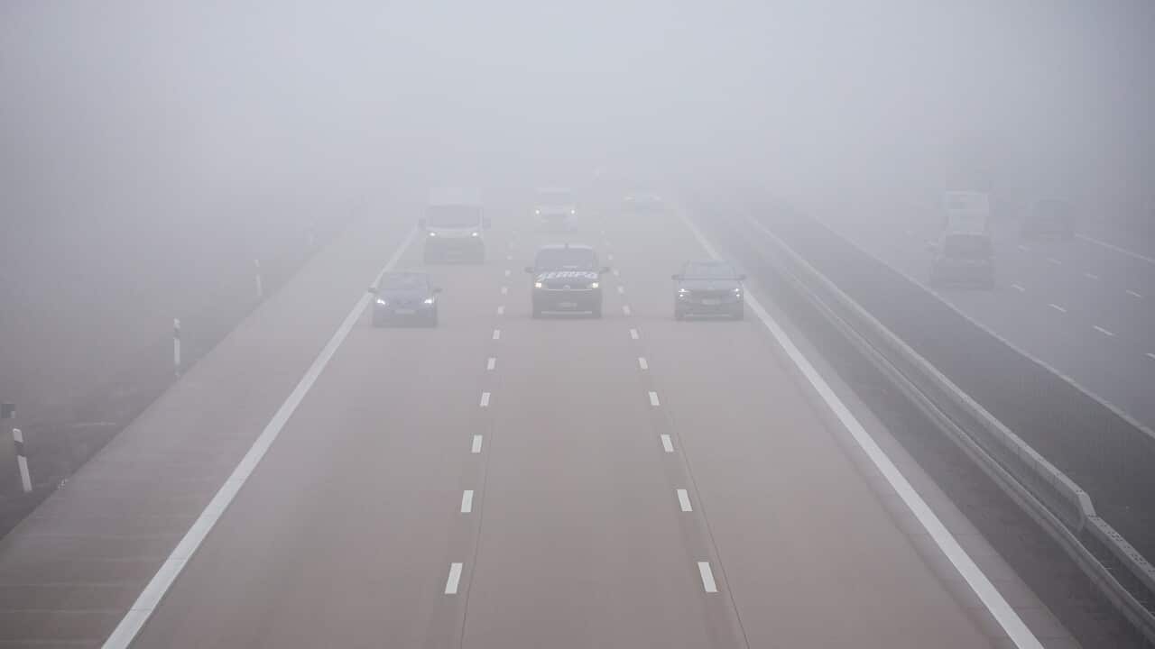 Fog in road traffic