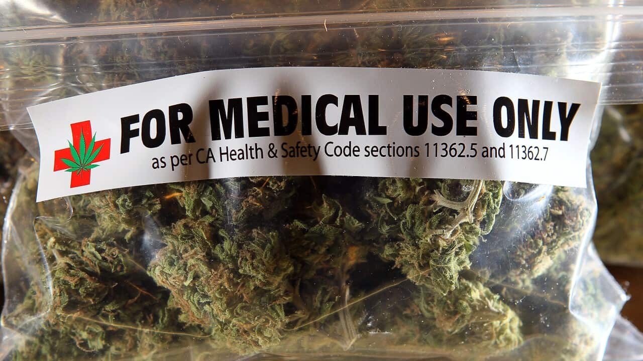 Medical Cannabis