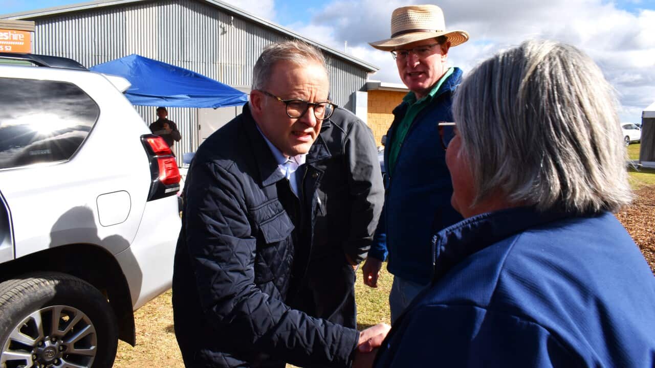 ANTHONY ALBANESE NSW FLOODS