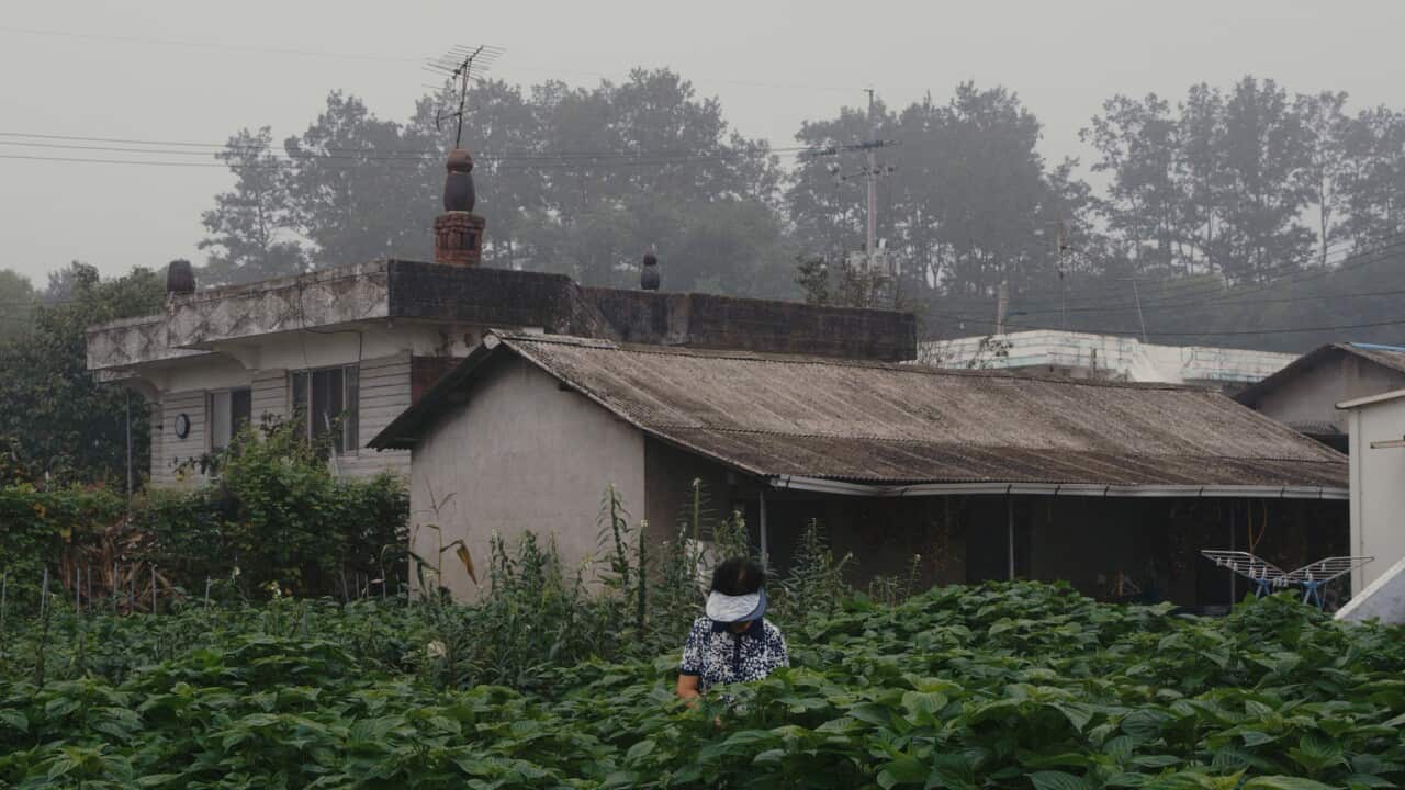 Negotiation Boarders, Sydney