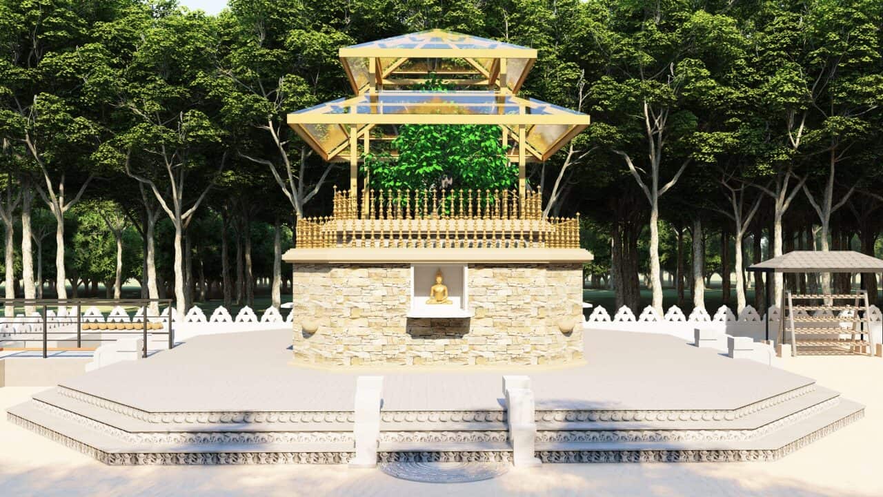 The great ceremony where the saplings of the Jaya Sri Maha Bodhi laid in Australia will be held soon