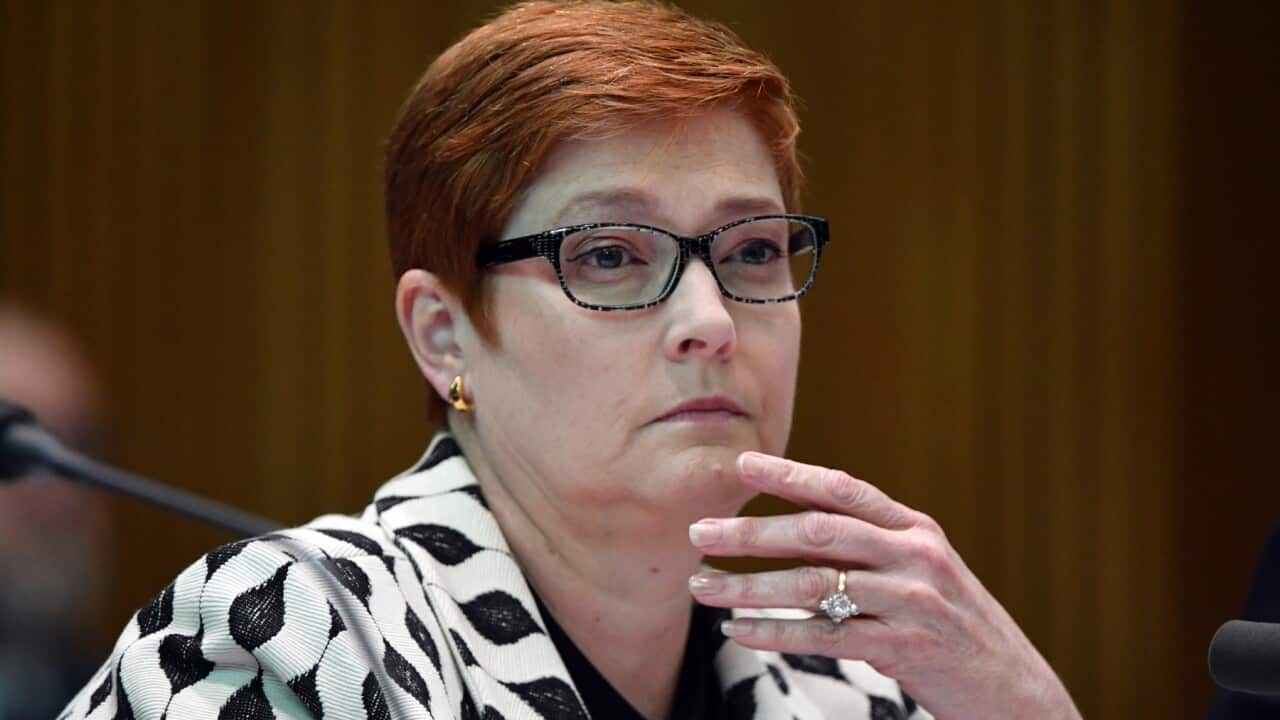 Minister for Foreign Affairs Marise Payne is disturbed at Chinese reports
