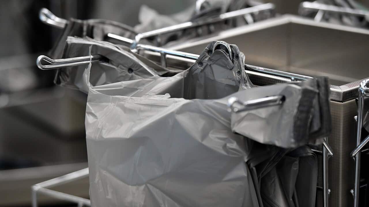 Plastic bag ban Are you across the 1 July changes? SBS News