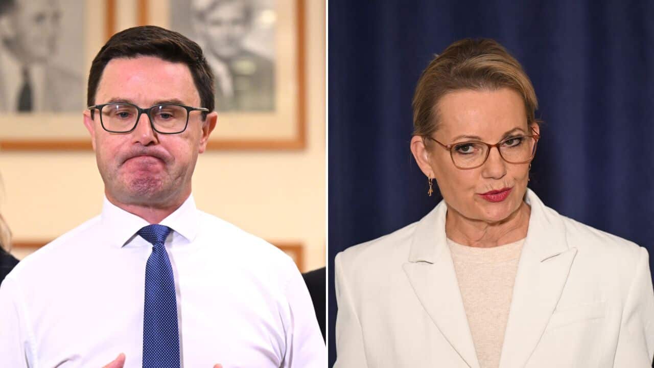 DAVID LITTLEPROUD SUSSAN LEY DIPTYCH