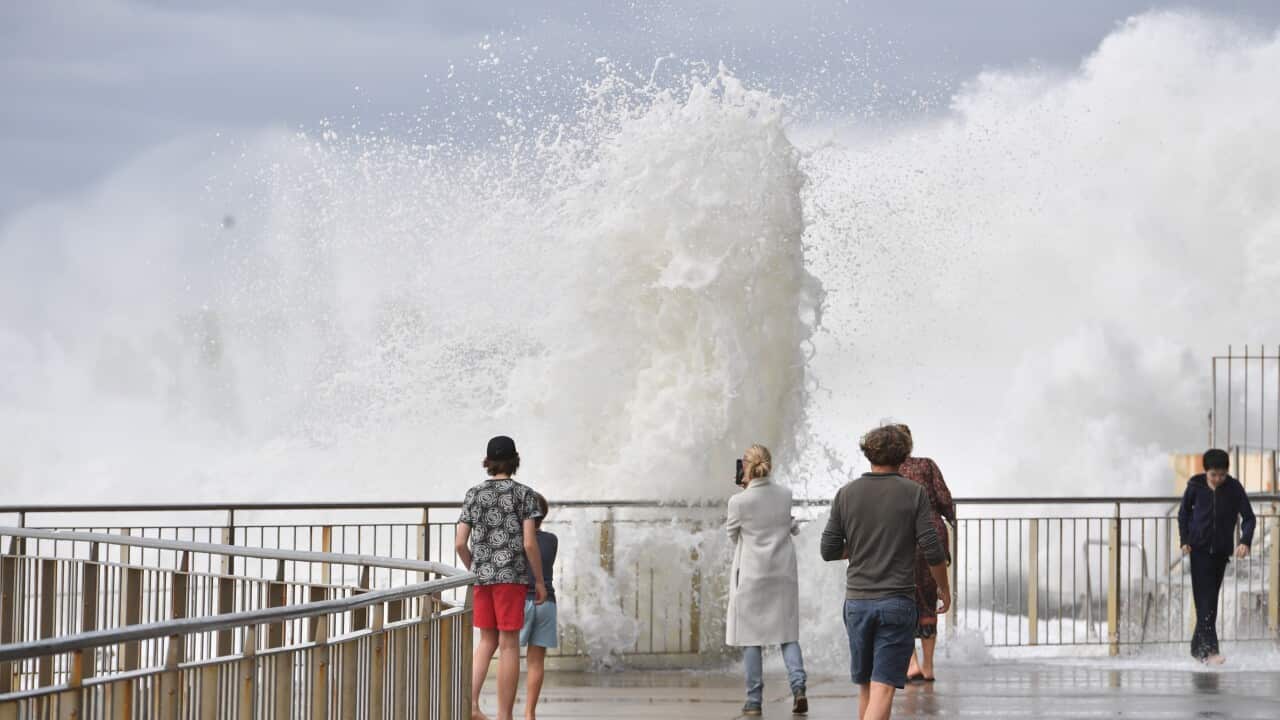 WILD WEATHER SYDNEY
