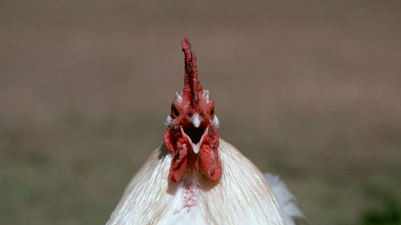 Image for read more article 'READ MORE'