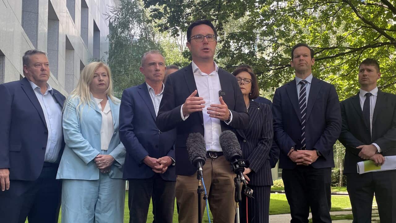 DAVID LITTLEPROUD NET ZERO PRESSER