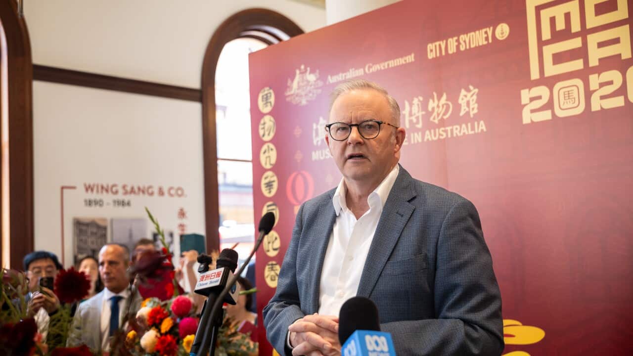 ANTHONY ALBANESE CHINESE MUSEUM OPENING