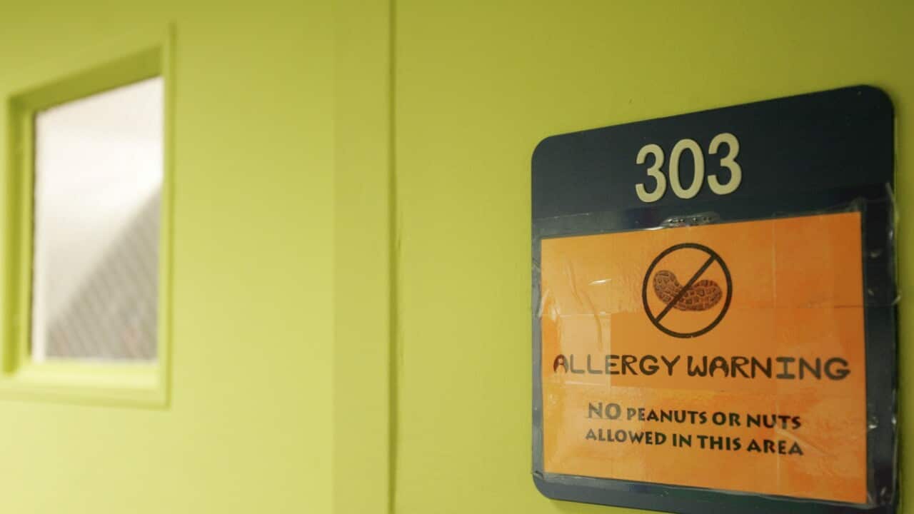 Peanuts and Nuts Banned at School