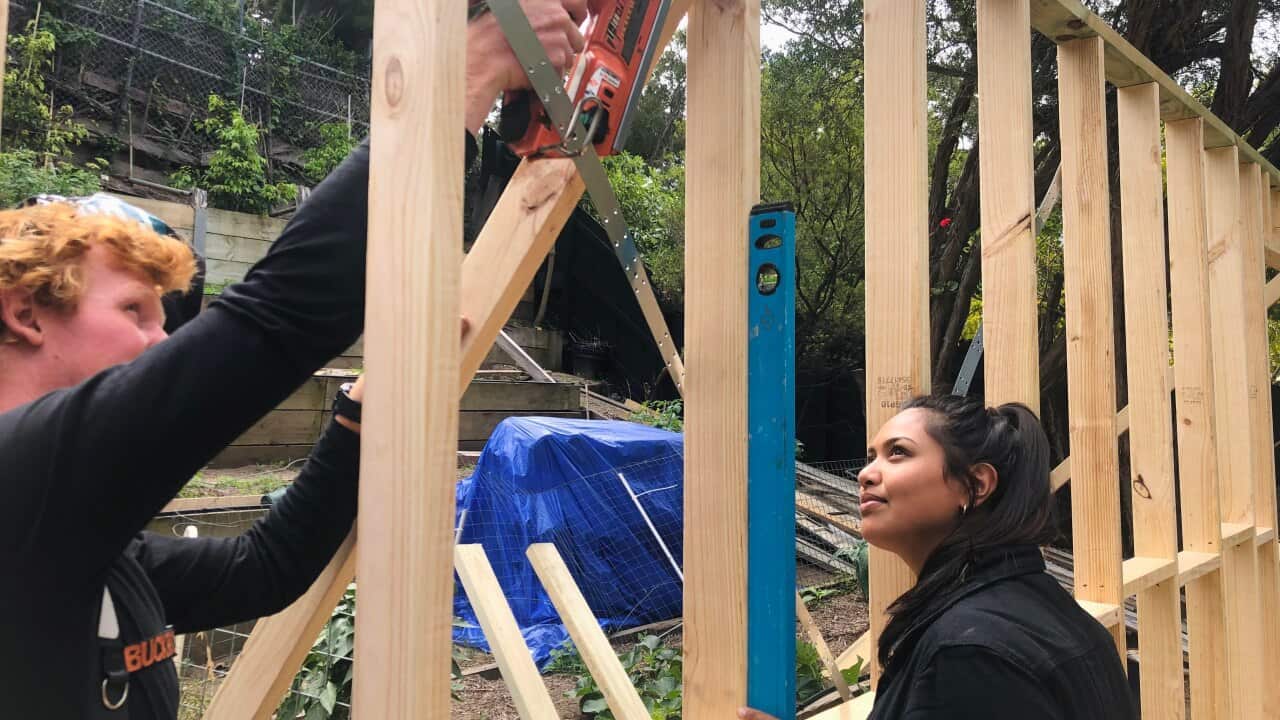 iwd, breakthebias, women's month, female tradie, female carpenter