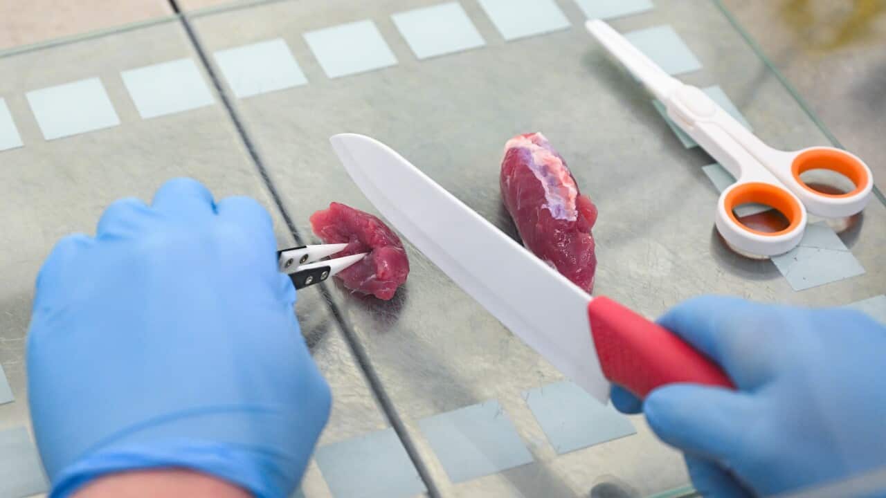 Meat without cows and pigs