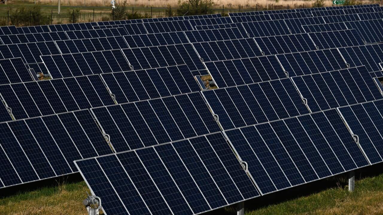 Solar panels are seen at solar farm on the northern outskirts of Canberra