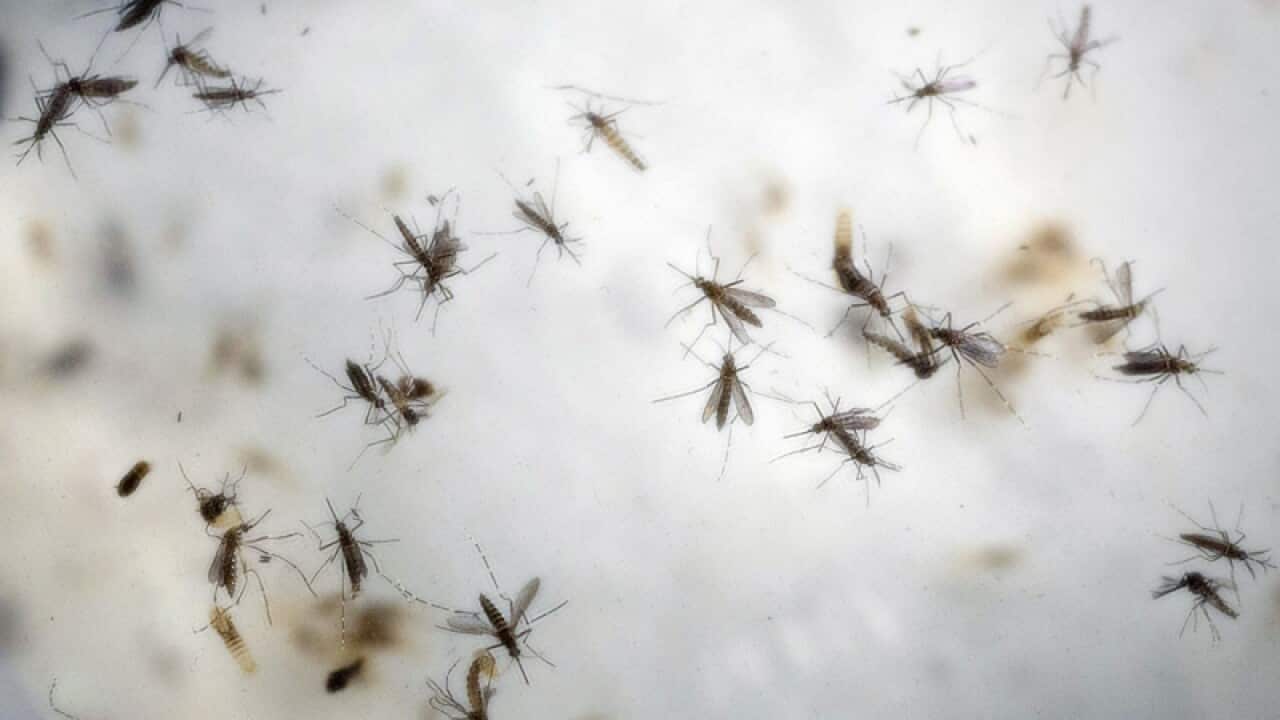 Image for read more article 'Related'