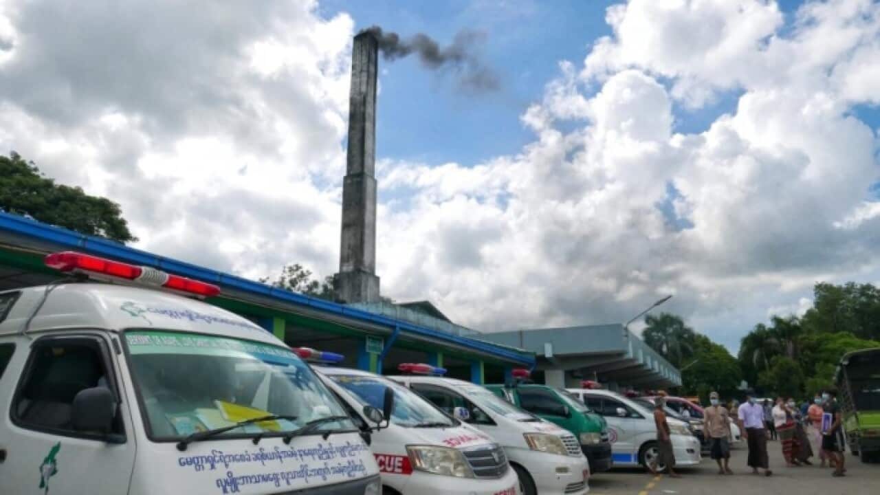 COVID Deaths Spike