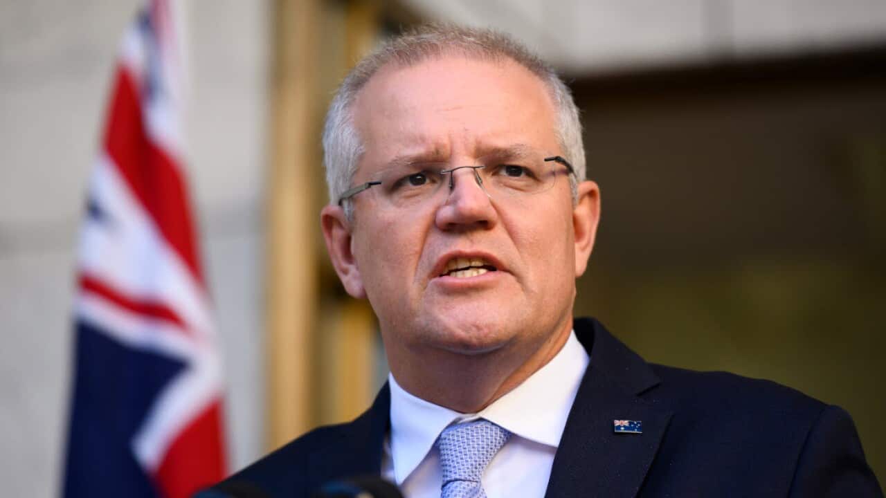 scott morrison