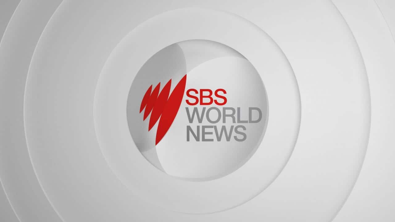 SBS World News bulletin: 20/8/2019