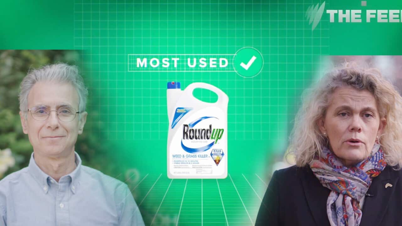 roundup, monsanto