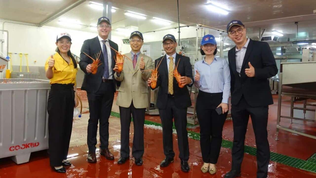 Image for read more article '更多內容'