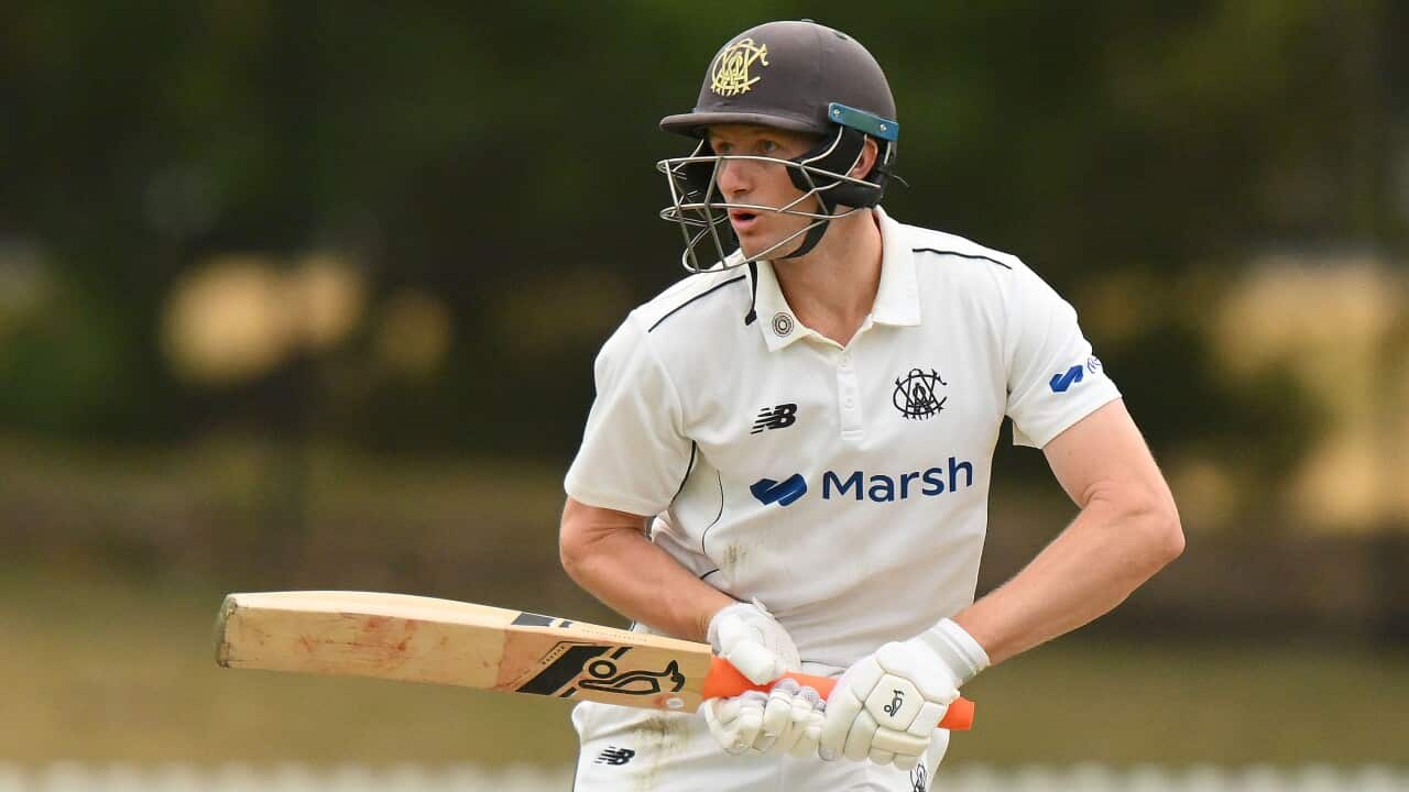 Cameron Bancroft of Western Australia bats during Day 2 of the Sheffield Shield cricket match between Victoria and Western Australia at Citipower Centre in Melbourne on Tuesday, 12 March 2024.