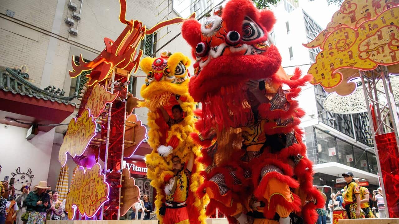 SYDNEY LUNAR FESTIVAL LAUNCH