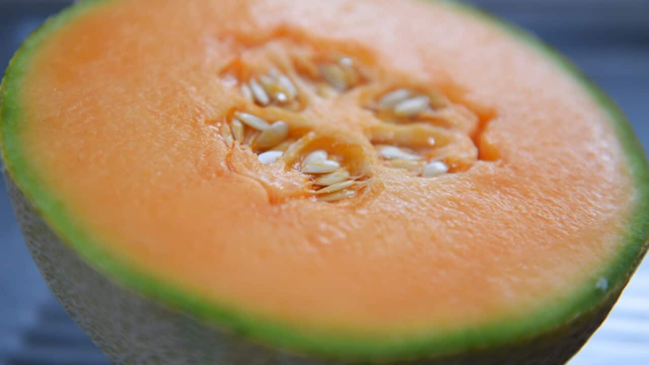 A rockmelon