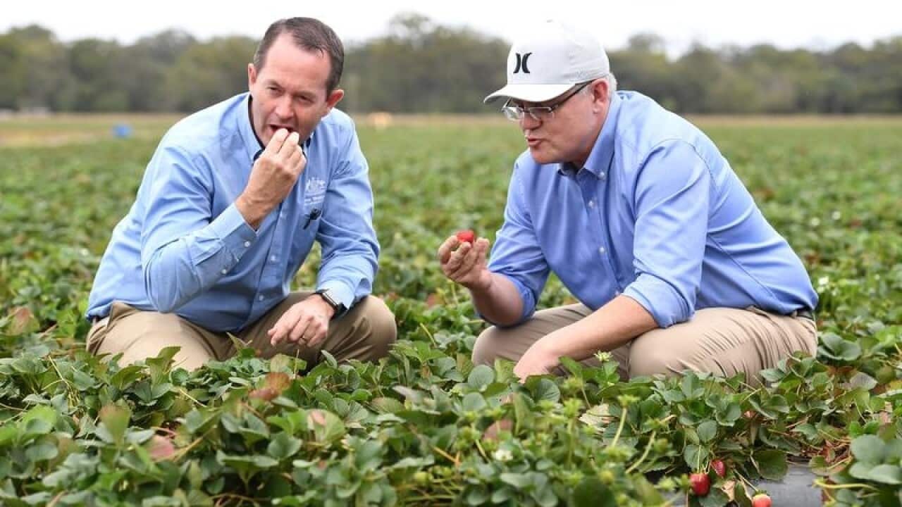 Liberal Member for Fisher Andrew Wallace & PM Scott Morrison