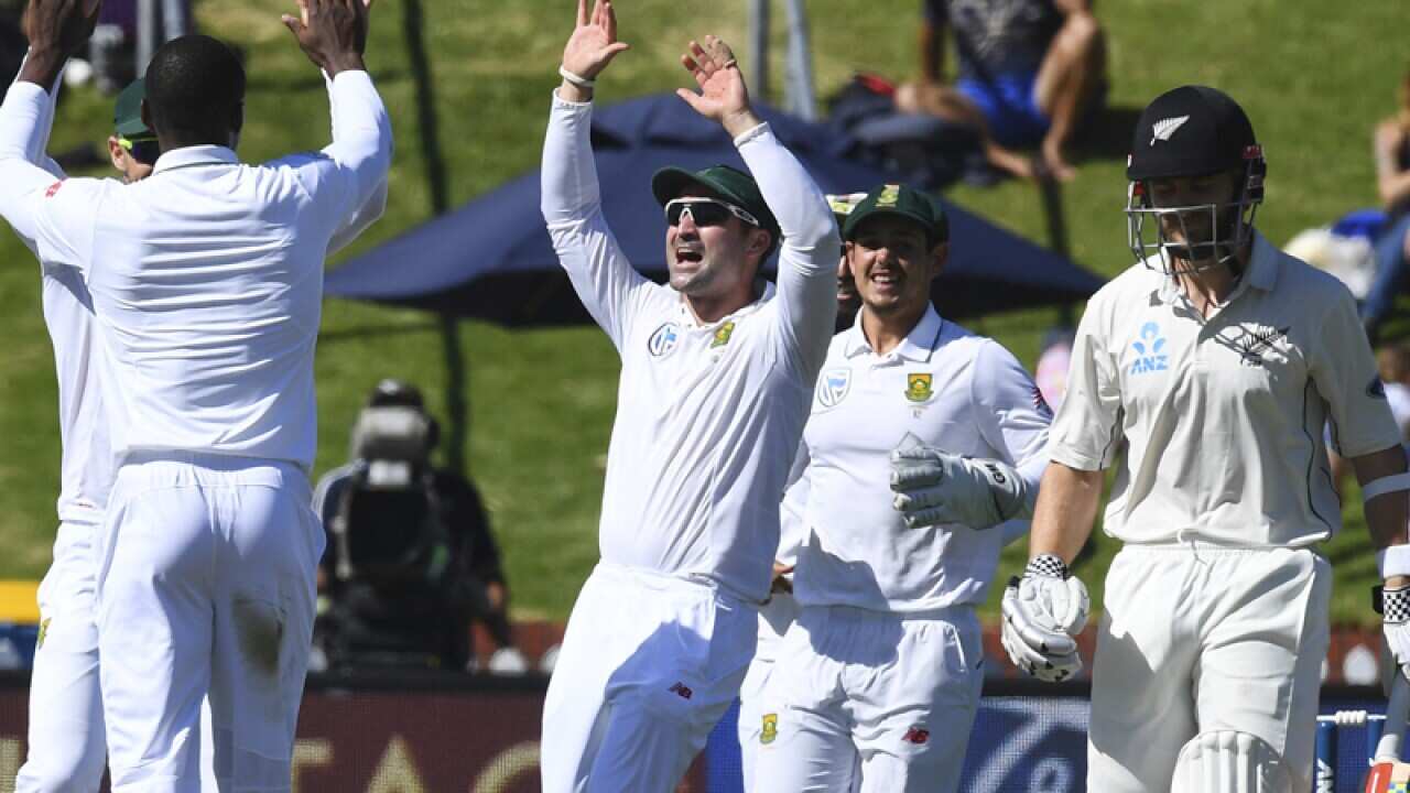 South Africa's Kagiso Rabada dismisses New Zealand's Kane Williamson