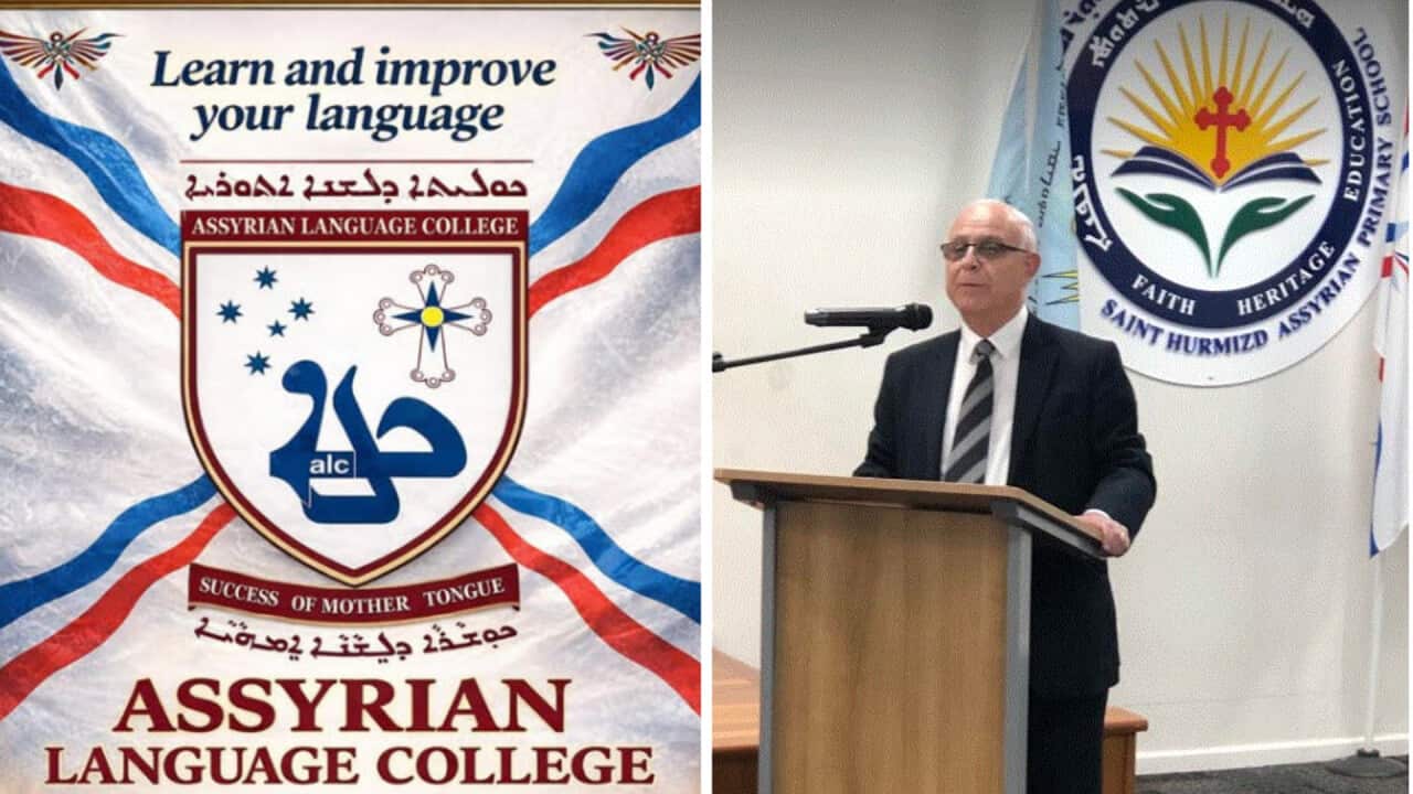 ALC Header Side-By-Side.png