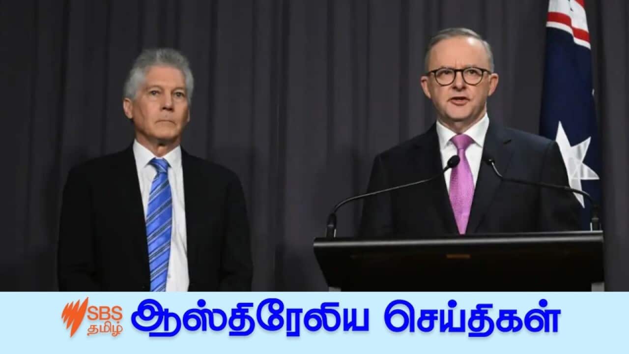 News 03 Aug.jpg