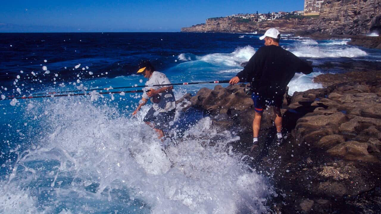 ROCK FISHING SYDNEY