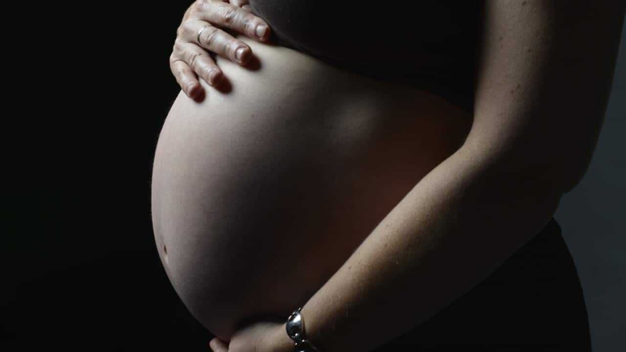 Pregnancy stock  photo in Sydney