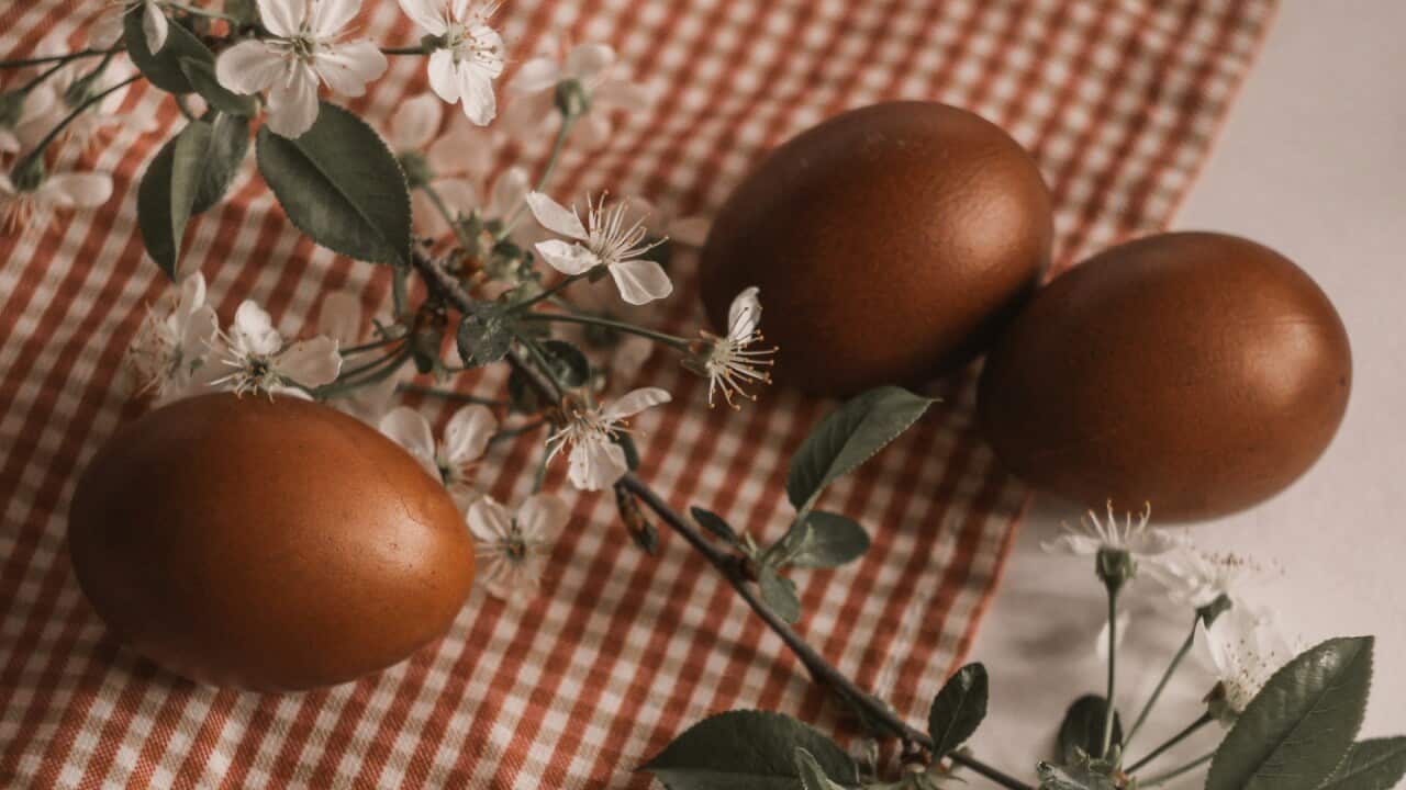 Image for read more article 'Повезане тема'