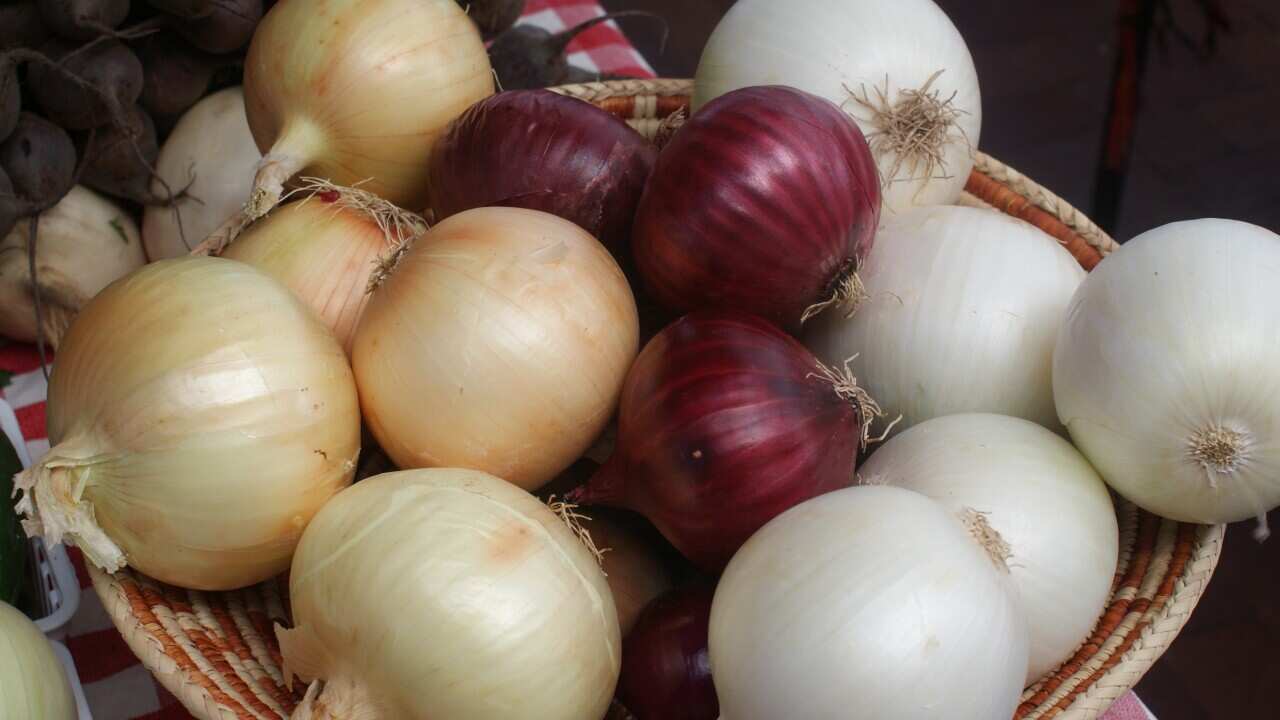 Assorted onions